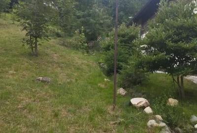 Casă cu 6 camere cu Teren 1200 Mp în Cheia - 4