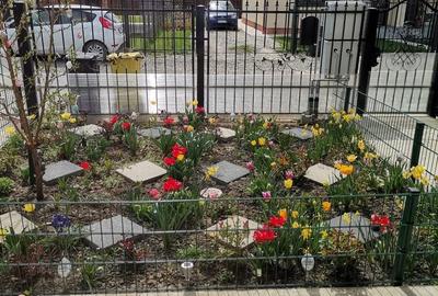 Casă cu 4 camere cu Canalizare în Sânpetru - 2