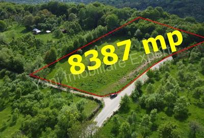 Teren de 8387 mp, în Corbi - 8