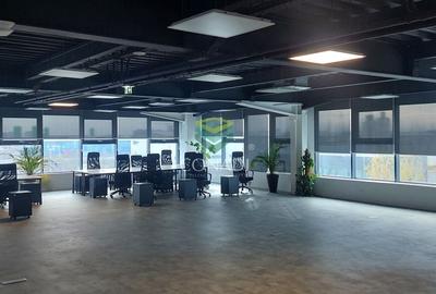 Ready to move in I HALA depozitare si birouri I MOGOSOAIA - 4