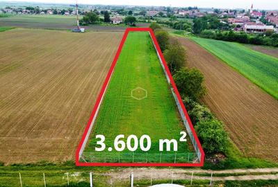 Teren agricol extravilan de 3600 mp, în Est - 4