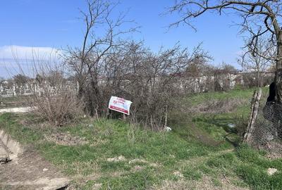 Spațiu comercial, în Luciu - 4