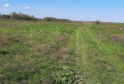 Teren în Vădeni - 1