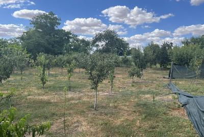 Casă individuală cu 4 camere cu Garaj în Săcele - 4