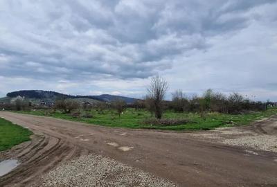 Teren Intravilan 800 mp Sanpetru - 2