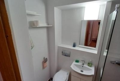 Apartament cu 1 camera - zona Podu Ros  - Cantemir - 3
