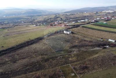 Teren agricol extravilan de 19375 mp, în Dâmbul Rotund - 7