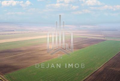 Teren agricol extravilan de 5 mp, în Moacșa - 5