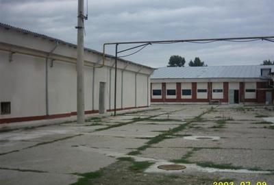 TEREN si constructii industriale-fost abator Mandresti - 15