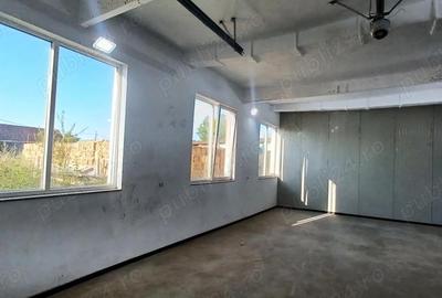 Spațiu comercial, de 3,000 mp, în Făget - 10