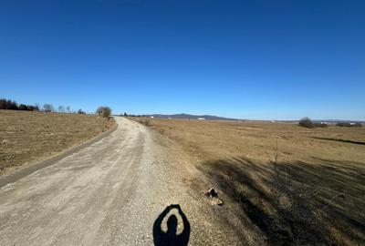 Teren de vânzare in zona Codlea la DN - 3