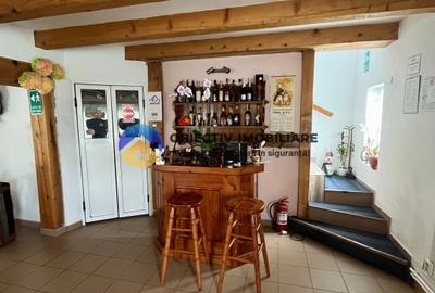 Hotel/Pensiune, de 280 mp, în Bârgăuani - 9