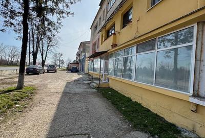 Spațiu comercial, de 100 mp, în Sascut - 3
