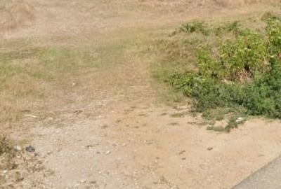 Teren agricol extravilan de 8700 mp, în Cerneți - 4