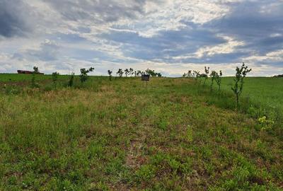 Teren de 2900 mp, în Exterior Vest - 2