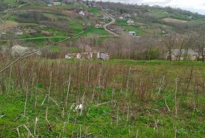 Teren de 2500 mp, în Exterior Vest - 2