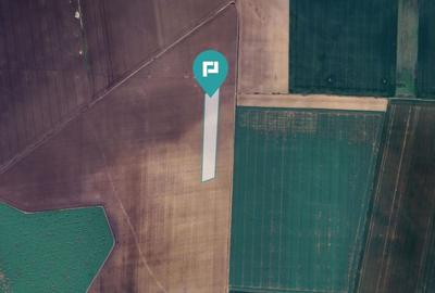 Teren 36.000 mp în Peciu Nou - 2