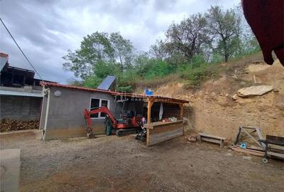 Petrosnita, Casa la Curte cu Garaj si Teren de 900 Mp - 10