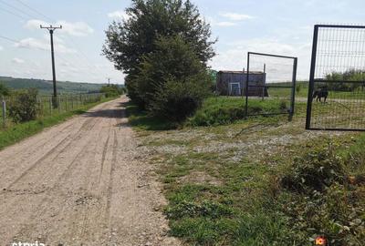 Spațiu comercial, în Nou - 7