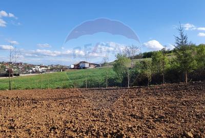 Teren Construcții intravilan de 1200 mp, în Săldăbagiu de Munte - 13