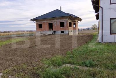 Casă cu 7 camere cu Teren 2703 Mp în Halmeu - 2
