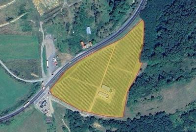 Spațiu comercial, de 370 mp, în Lăpugiu de Jos - 2