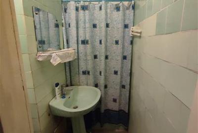 Apartament cu 4 camere decomandat în Parcul Circului - 15