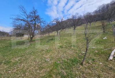 Teren în Central - 1