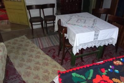 Casă cu 2 camere cu Teren 2245 Mp în Brănișca - 9