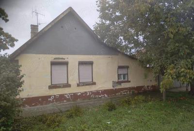 Casă în Pecica - 2