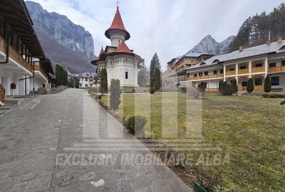 Casa de vacanta cu potential de Pensiune Turistica, Ramet - 16