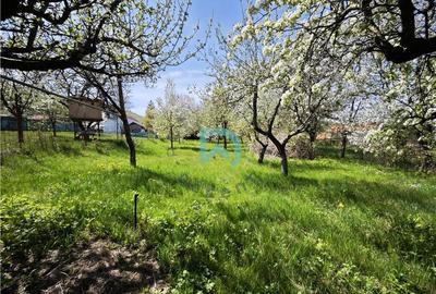 Casă individuală cu 3 camere cu Garaj în Bunloc - 28