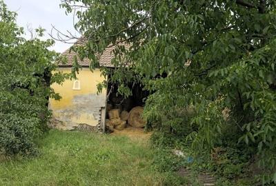 Casă cu 3 camere în Central - 1