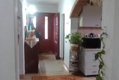 Casă cu 6 camere cu Teren 2027 Mp în Miniș - 5