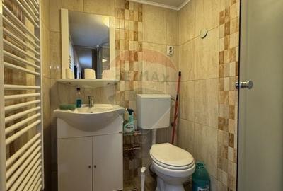 Casă individuală cu 5 camere cu Canalizare în Est - 9