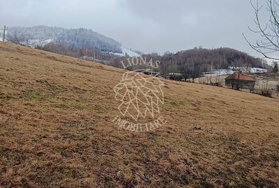 Teren de 8335 mp, în Săcuieu - 7