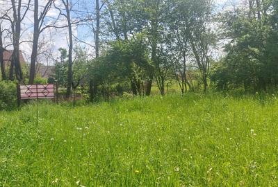 Teren Construcții intravilan de 2400 mp, în Pachia - 11