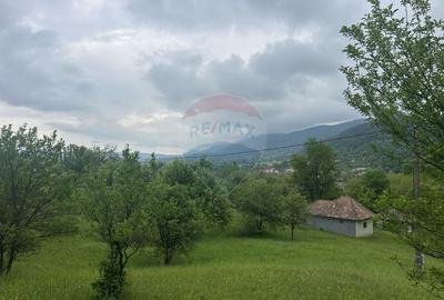 Teren 2,000mp Copalnic-Manastur / Strada Principala - 3