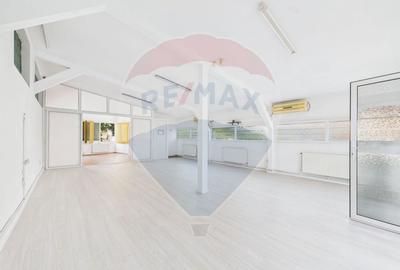 Vila de inchiriat  Vatra Luminoasa, spatiu comercial sau birouri - 8