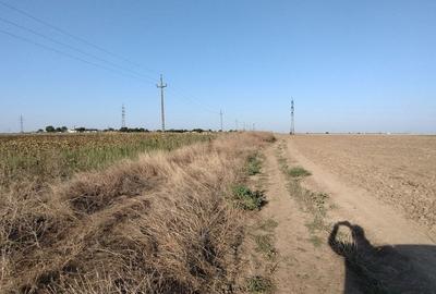 Teren pentru Parc Logistic, hale - Ovidiu - 2