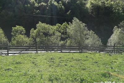 Teren de 1510 mp, în Leșu - 6