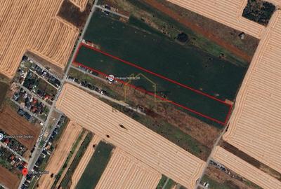 Teren Construcții intravilan de 15000 mp, în Dragomirești-Vale - 3