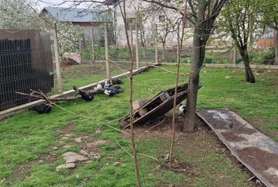 Casă individuală cu 3 camere cu Teren 940 Mp în Pantazi - 12