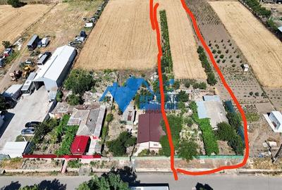 Casă cu Teren 2000 Mp în Central - 3