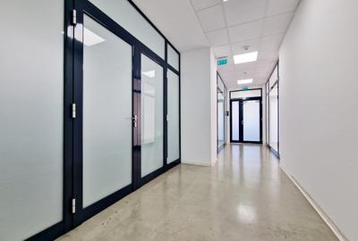 Spatiu Birouri 180 mp/Preciziei - 15