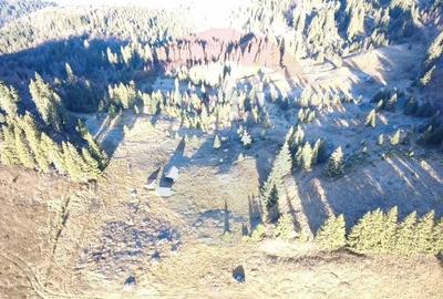 Teren extravilan de 31461 mp, în Panaci - 6