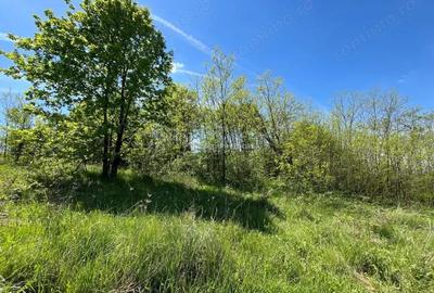 Lugoj Teren 5.300 Mp., Dealul Viilor, Priveliste Impresionanta - 12