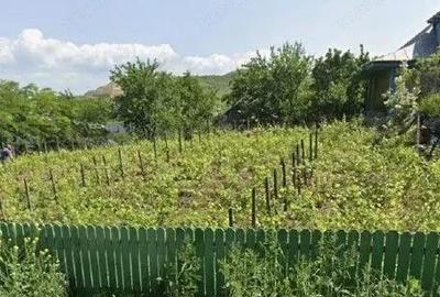 Casa si teren cota parte 3/16, Vladiceni, ID: R2764937 - 5