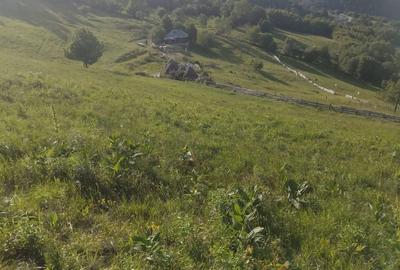 Spațiu comercial, în Vale - 1