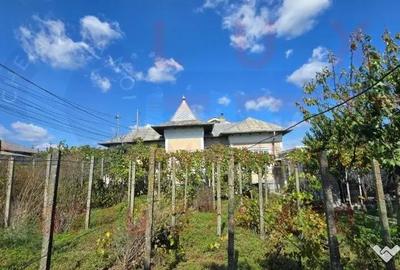 Casă cu 3 camere cu Teren 532 Mp în Păcii - 9